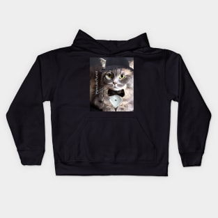 Hercule Purrot Kids Hoodie